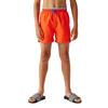 Regatta Childrens/Kids Skander III Plain Swim Shorts