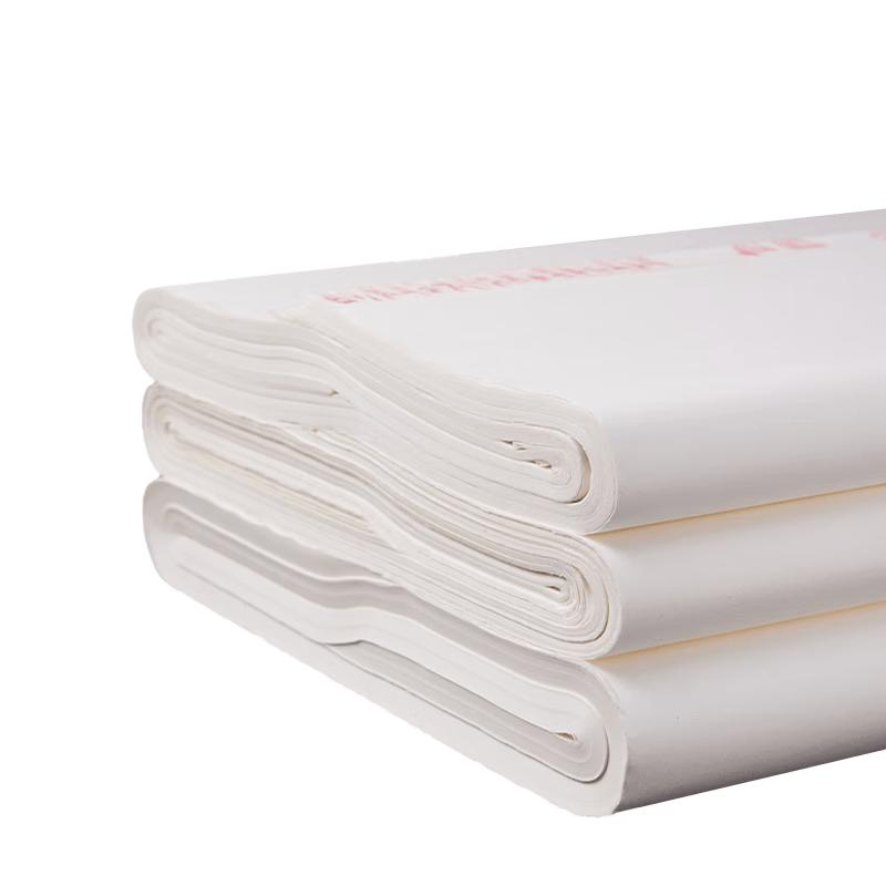Thickened Semi-Ripe Xuan Paper for Calligraphy and Painting 4-Chi Whole Sheet (69x138cm)