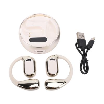 Translation Earphones APP Control Wireless Translation Device Supports 74 Languages 70 Accent for Communicating Music