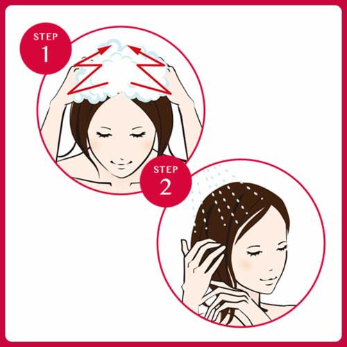 Astalift Scalp Focus Shampoo (300ml refill) Non-silicon lauryl sulfate free (contains human-type nanohair ceramide)