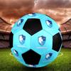 SIZE 5 Erzurumspor FK Soccer Ball Colorful All Ages Machine Stitched PVC Competition Ready Durable High-Bounce