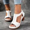 Sandali Estivi Nuovi Moda Europea e Americana Tacco Blocco Punta Aperta Donna Bocca di Pesce Fibbia Tacchi Alti Taglie Grandi Scarpe da Donna Commercio Estero