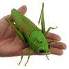 Tipmant RC Grasshopper Remote Control Animal Toy Simulation Electronic Insect Vehicle Kids Birthday Gift