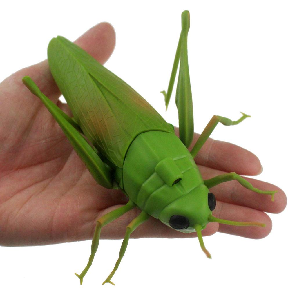Tipmant RC Grasshopper Remote Control Animal Toy Simulation Electronic Insect Vehicle Kids Birthday Gift
