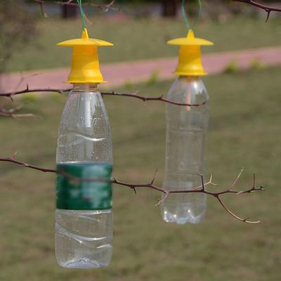 5Pcs Fruchtfliegenfalle Killer Drosophila Falle Fliegenfänger Pest Insektenbekämpfung