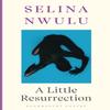 A Little Resurrection by Selina Nwulu Paperback Book 9781526649980