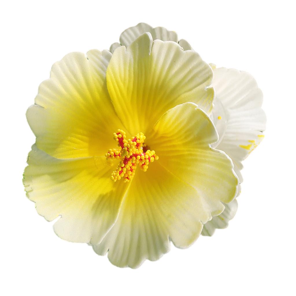 Tropical Plumeria Hibiscus Hair Clips for Women Lightweight Non Slip Grip Beach Wedding Vacation Party Hair Accessories