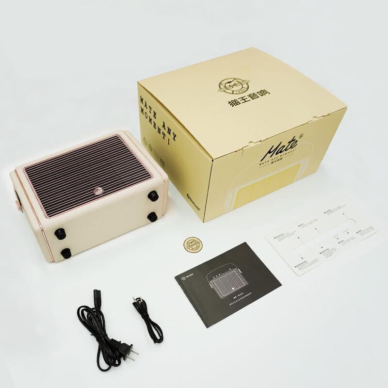 Muzen Mate4 Portable Bluetooth Speaker CN plug (adapter included)