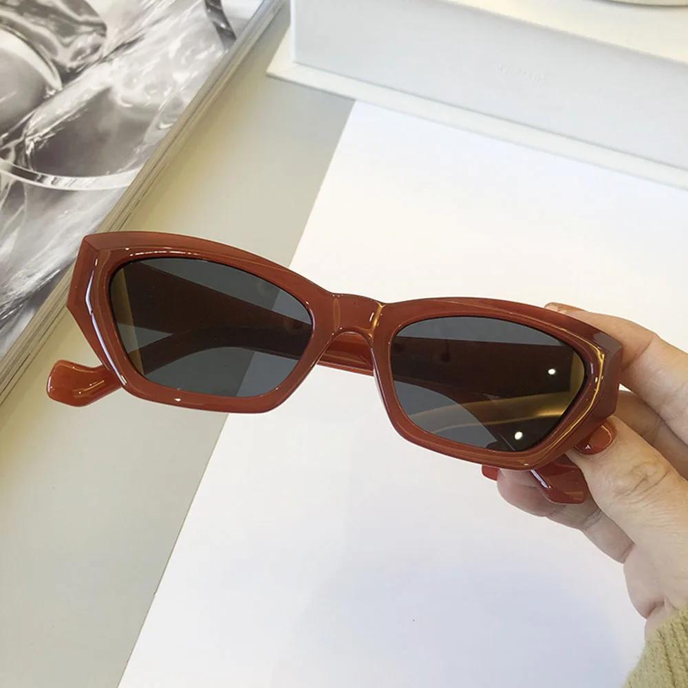 Full Frame Sunglasses Women S Fashionable Cat Eye Sunglasses Retro Engineering Design Street Glasses Uv400 Protective Sunglasses