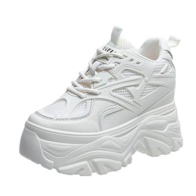Spring Autumn Breathable Mesh Sneakers Hidden Increasing Sport Shoes Woman Wedge Casual Chunky Shoes High Platform Shoes 9CM