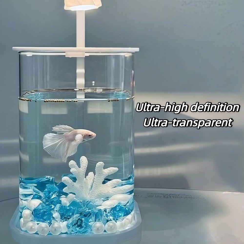 Creative Ecological Aquarium Kit Landscape Desktop Ornamental Fish Tank  Home Office Decoration