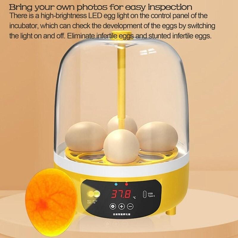 Household Automatic Poultry Tool Intelligent Temperature Poultry Incubator Chicken Duck Bird Pigeon Hatcher
