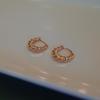 Simple Geometric Frosted Earrings Female Cold Wind Temperament Earring Buckle Niche Hundred with Earrings Affordable Dainty Earrings Daily Wear
