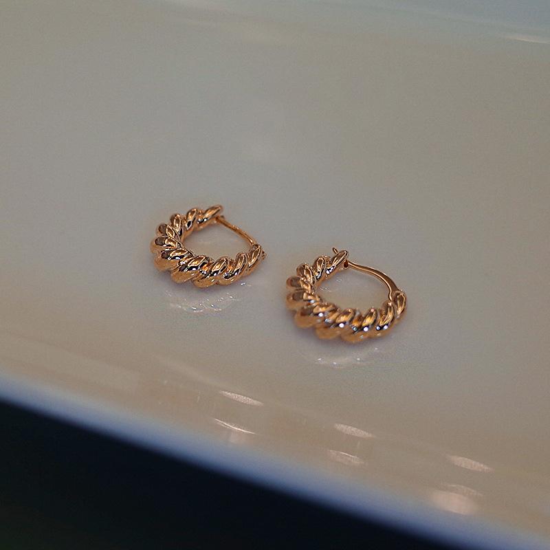 Simple Geometric Frosted Earrings Female Cold Wind Temperament Earring Buckle Niche Hundred with Earrings Affordable Dainty Earrings Daily Wear