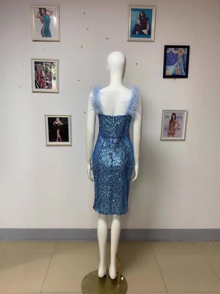 European and American Women's Sequined Deep V-Neck Sleeveless Evening Dress with Feather Accent