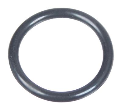 O-ring Cedrus Pressure Washer Mc110 560123