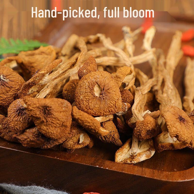 Yàngēng Dried Tea Tree Mushrooms 250g