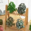 KX4B Dekoracja Akwarium Roślina Terrarium Rośliny Dekoracyjne do Zbiornika Rybnego dla Siedliska Płazów Jaszczurek
