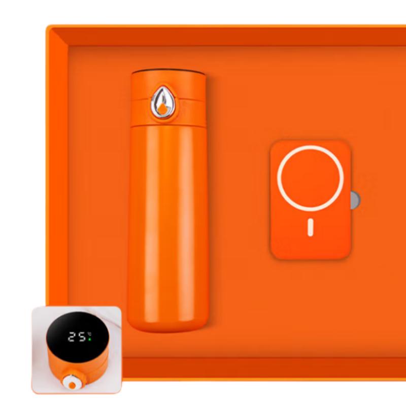 Smart Business Gift Set: Temperature Control Mug & Power Bank