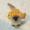 Funny Cat Cap Bear Plush Head Cover Cute Cat Dog Woven Warm Headdress Pet Hats Kitten Puppy Cosplay Costume Accessories