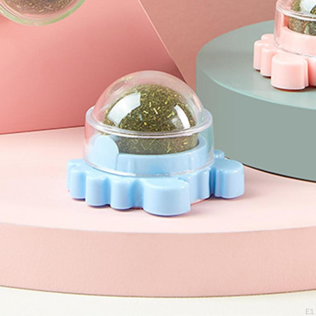 Katzenminz-Bälle Essbar Abnehmbar Drehbar Interaktiv für Snacks, Reinigung, Spielen, Kätzchen Kauen