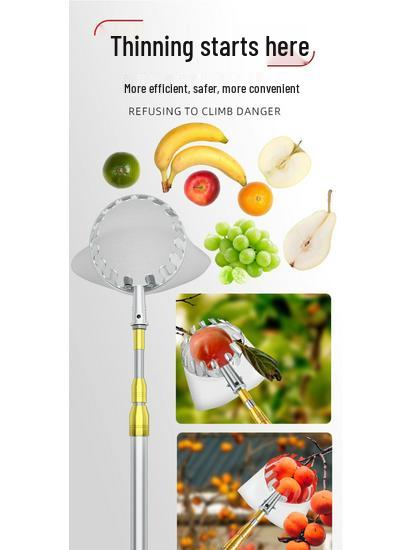 Telescopic Pole Fruit Picker for Persimmon, Loquat, Bayberry, Peach, Plum, Jujube, Apricot, and High-Altitude Harvesting