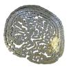 Galla 06B-1 roller chain (R1 3/8 - inch) 5m hardened MORGA