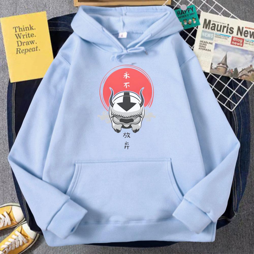 Avatar The Last Airbender Hoodie Cute Print Kawaii Clothes for Girl Pullover Casual Cartoon Funny Sweatshirt Women Harajuku Wram