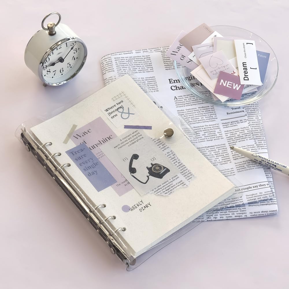 Monolike Record Sticker Pack Series 2 Variety for Fancy Stickers Today's (102 Stickers) - Pack, Diaries, Scrapbooks, Waterproof,