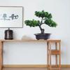 Plastik Simulations Kiefer Handgefertigt Künstliche Bonsai Pflanzen Heimdekoration
