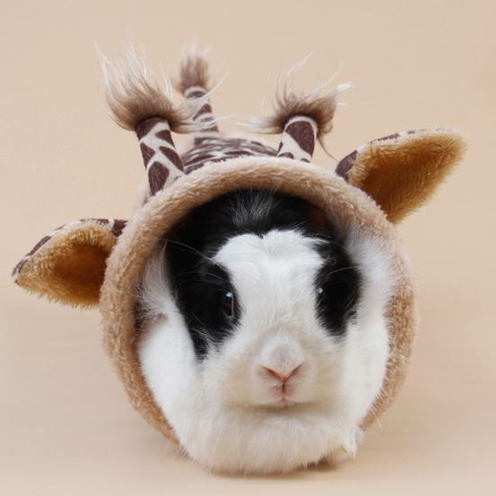 Hamster Tunnel Semi-Enclosed Rainproof Comfortable Soft Windproof Playing Resting Air Permeable Guinea Pig