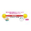 Mitsubishi Pencil Water-based Pen Pure Color F Black 10 pieces PW101TPC.24