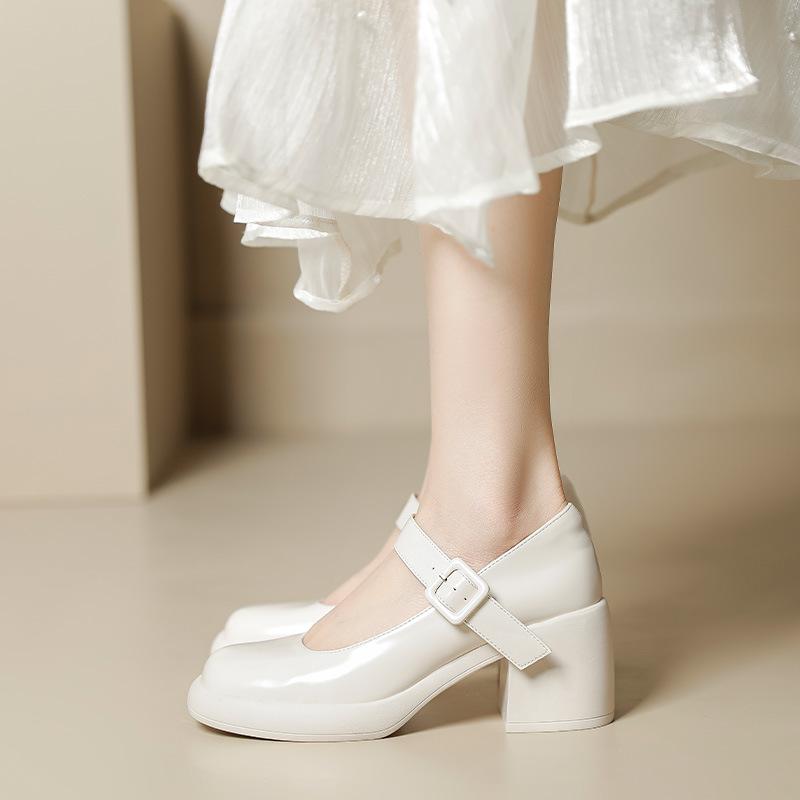 Fashion French Lorita Mary Jane Single Shoe Women's Niche High Heel Loafers Chunky Casual Preppy Princess Shoes