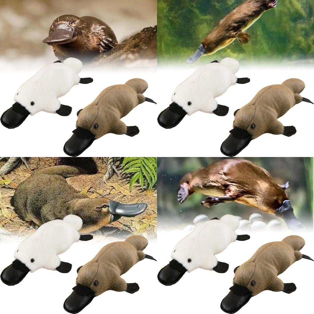 Soft And Cuddly Platypus Plush Toy For Kids Ideal Comforting Buddy And Car Decor