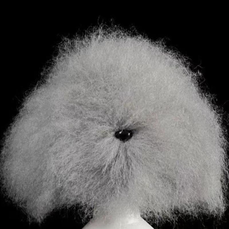 

Teddy Dog Head Hair Model Wig Practice Beauty Grooming Simulation Pet Head Hairs Fake Model Cutting Beautician Pets Products