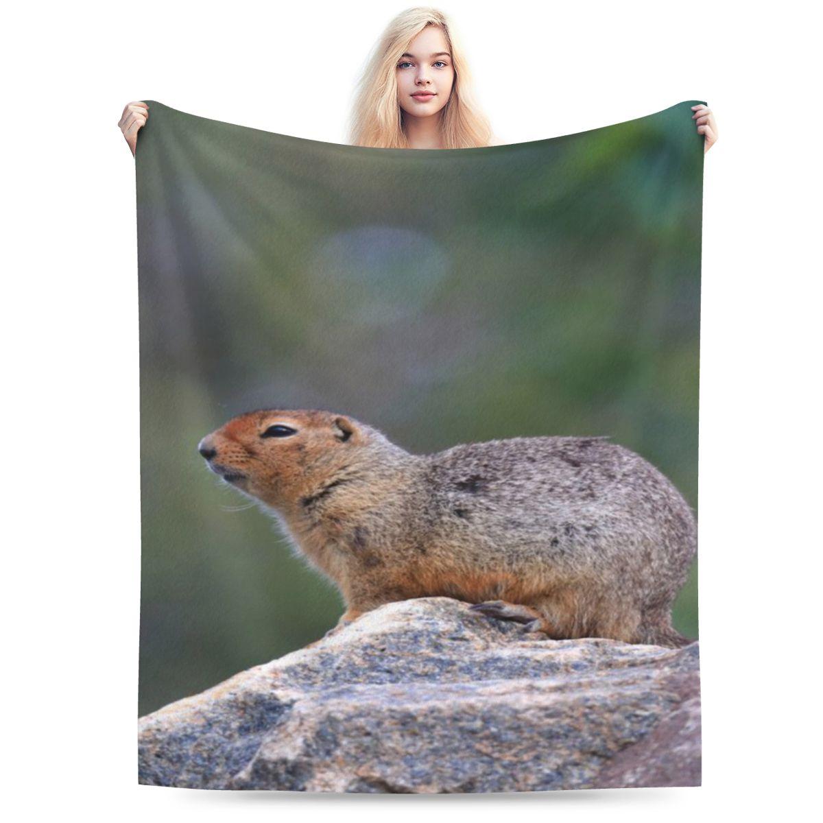 

Ground Squirrel On Lookout Personalized Comfortable Gift An UltraSoft Micro Fleece Blanket 75x100cm 30x40in
