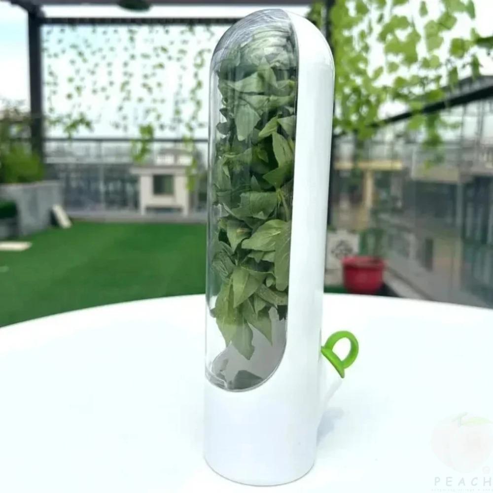 Cross-border Vanilla Vegetable Fresh-keeping Box Dust-proof Anti-pressure Environmental Protection Fresh-keeping Device Creative