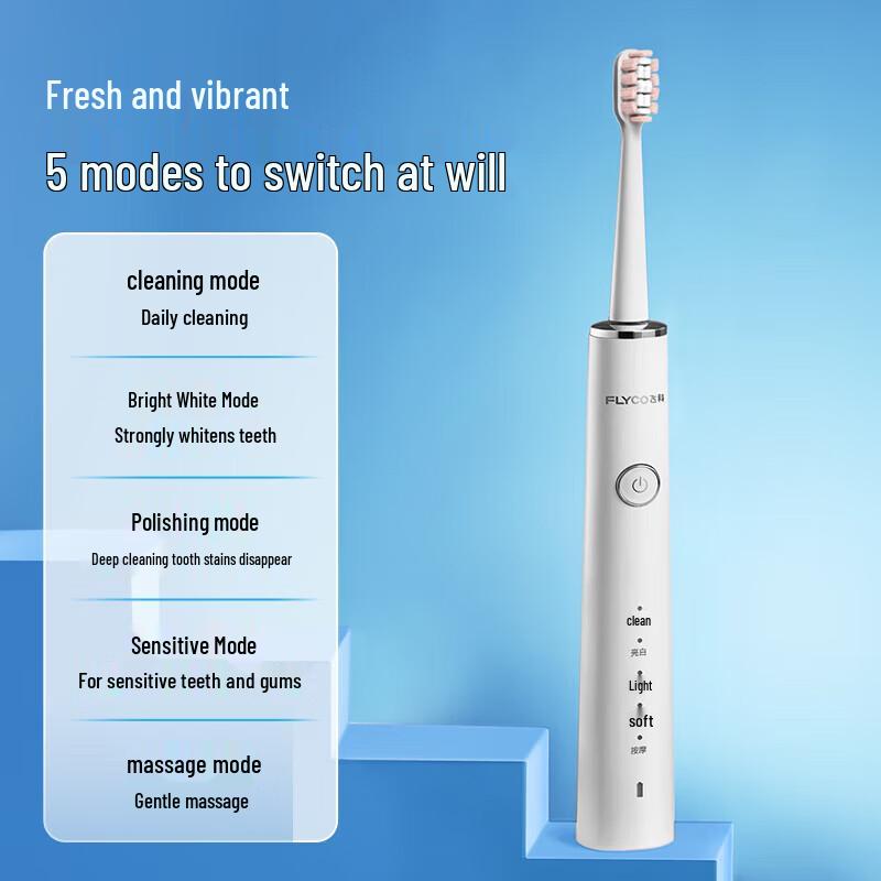 FLYCO FT7208 Sonic Electric Toothbrush