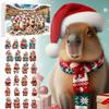 Capybara Advent Calendar 2025 24 Days Christmas Countdown Calendar Cute Capybara Christmas Ornaments Christmas Tree Pendants