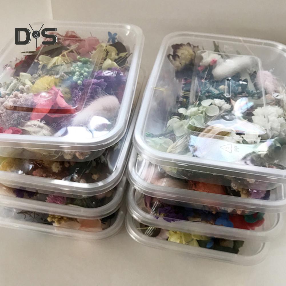 1 Box Preserved Dried Plant DIY Candle Jewelry Making Craft Decor