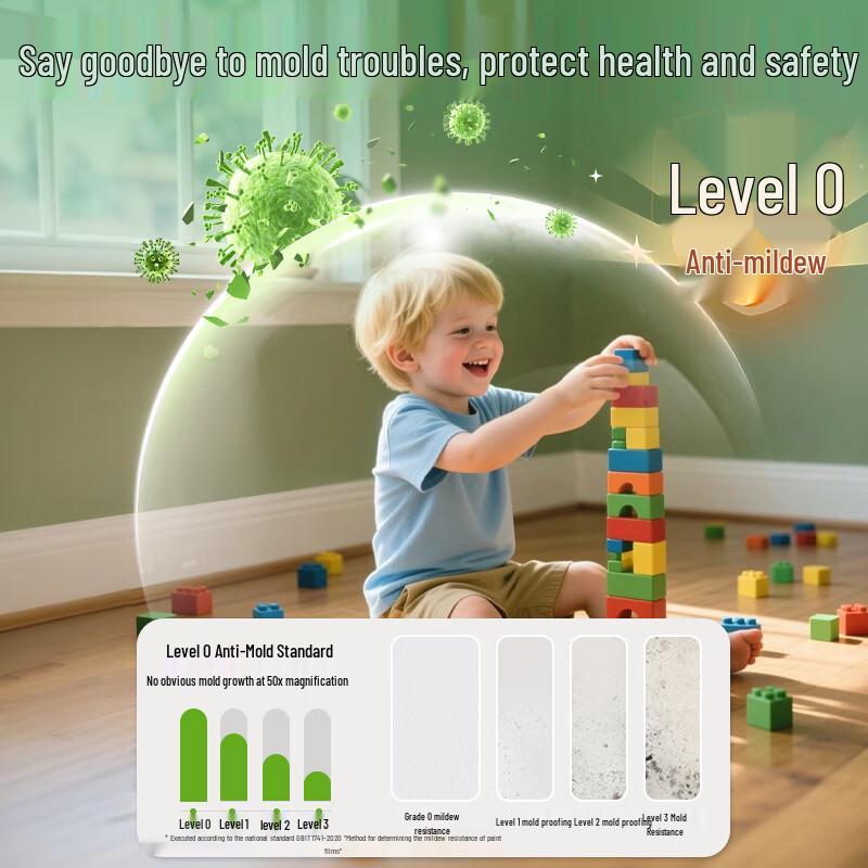 Sanhe Interior Wall Paint & Roller Tool