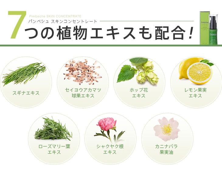 Panbesh Skin ett nattserum speciellt utformat för rynkor och slapphet i hudsystemet medan du uppnår mer genomskinlig vård natt bara