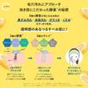 Kumano Oil CyClear  CyClia  Vitamin C Enzyme Foam faCe Wash 300ml