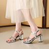 French beautiful sandals women's outer wear 2025 summer new one-word with high-end skirt summer Roman shoes
