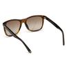 Lunettes de soleil - Web - WE0279 - Marron - Catégorie de protection 2 - Forme classique