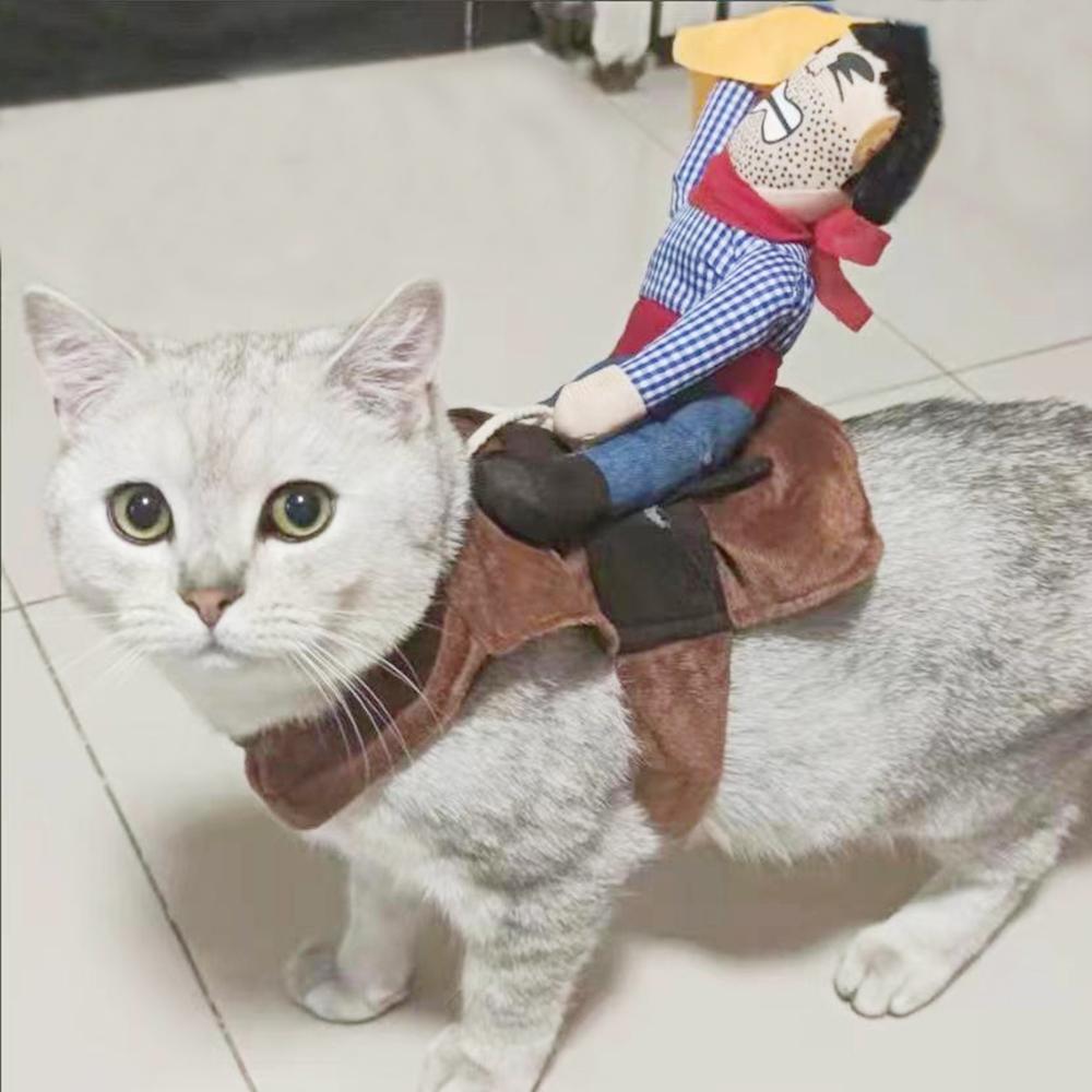 

Костюм для домашних животных Кошка Одежда для косплея Костюм для домашних животных Костюм Ковбой Райдер Стиль с куклой и шляпой Кошачья одежда Вечеринка Переодевание Одежда Хэллоуин