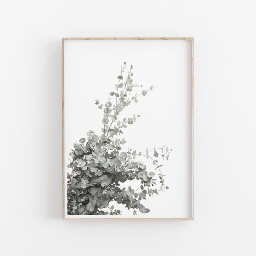 Minimalist Aesthetics Nordic Botanical Poster Canvas Painting Eucalyptus Palm Leaves Art Plant Printable Wall