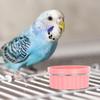 BESPORTBLE Bird Feeder Bowl Set Stainless Steel for Parrots Cats Dogs Small Pet Feeding Slip Pink