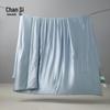 Chansi Silky Summer Silk Quilt