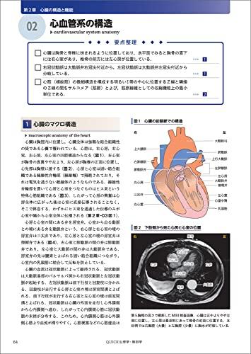QUICK Physiology and Anatomy: Structure, Function, and Pathophysiology of the Human Body